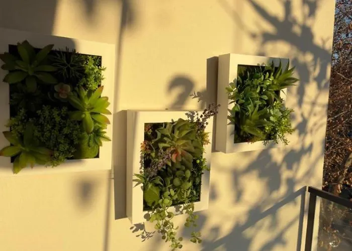 Urban Lotus , Self Check-in * Tirana